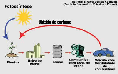Ciclo dos BiocombustíveisCiclo dos Biocombustíveis