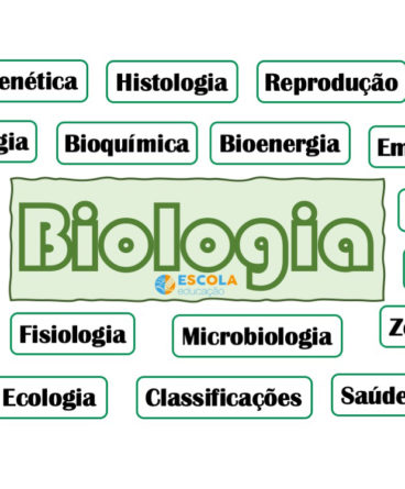 mapa mental biologia Tudo sobre mapa mental biologia Escola Educação