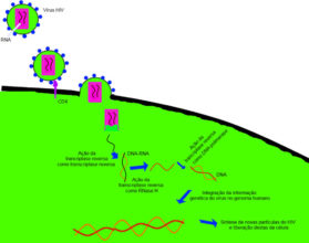 Retrov Rus O Que Classifica O Doen As Hiv Exemplos