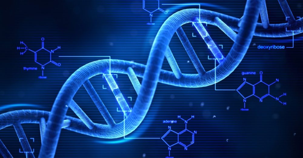 DNA e RNA