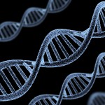Genes