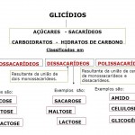 Classificação dos carboidratos