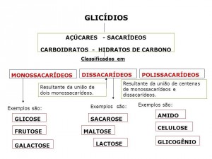 Classificação dos carboidratos - Como são classificados? - Escola Educação