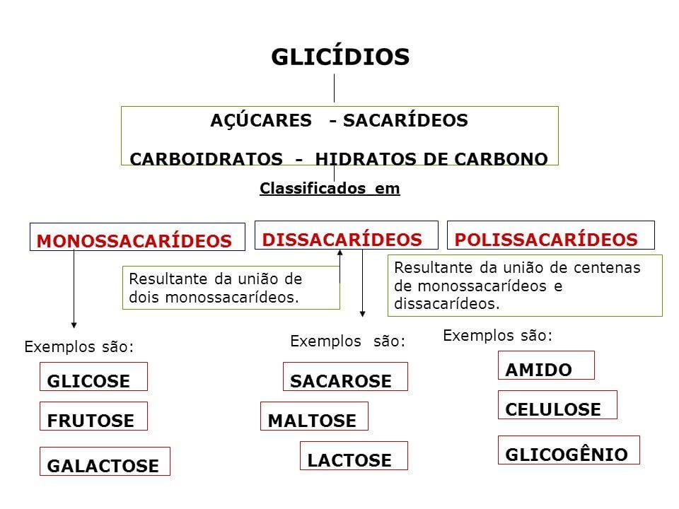 Classificação dos carboidratos