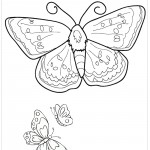 Atividades e Desenhos de Animais para Colorir – Borboletas