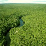 Domínio amazonico