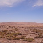 Clima desértico