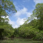 Clima Equatorial