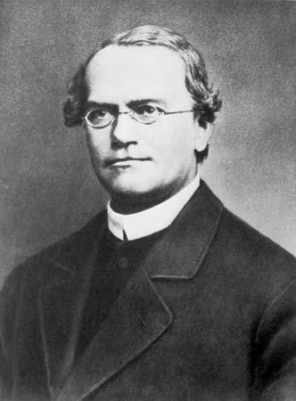 Gregor Mendel, o pai da genética