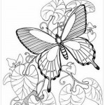 Molde de Borboleta – 17