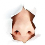 ANOSMIA