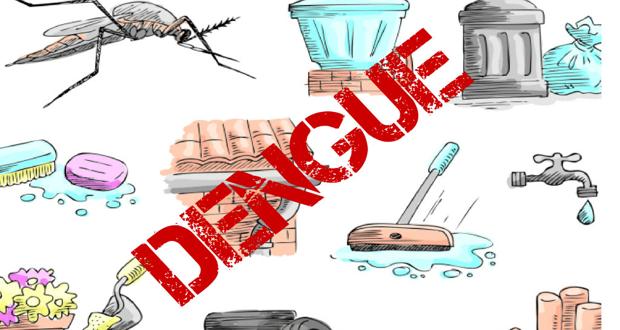 Atividade sobre a dengue