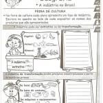 A Industria no Brasil