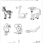 Pinte os animais com a letra B