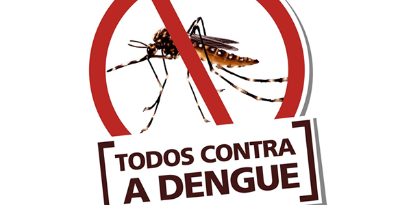 Plano De Aula Sobre A Dengue Para Imprimir Professor 4742