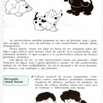 Atividades de Classificação e Seriação – Visual