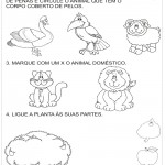 Atividades sobre Sociedade
