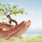 Atividades sobre meio ambiente