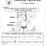 Atividades sobre o corpo – Partes do Corpo