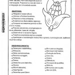 Projeto Festa Junina – Festança no Arraiá
