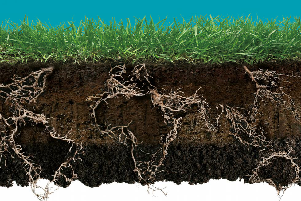 Os fatores de formação dos solos