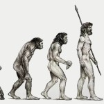 Evolução Humana
