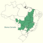 Mapa do Bioma Cerrado