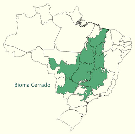 Bioma Cerrado - Mapa