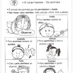 Introdução sobre os cinco sentidos