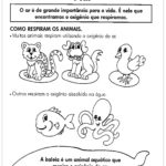 Meio Ambiente o Ar