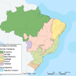 Caatinga em amarelo, evidenciando suas fronteiras com Cerrado e Mata Atlântica