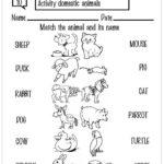 Atividade de animais inglês