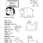 Atividade de inglês de animais