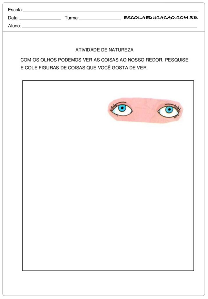 Atividade para o maternal pesquise e cole