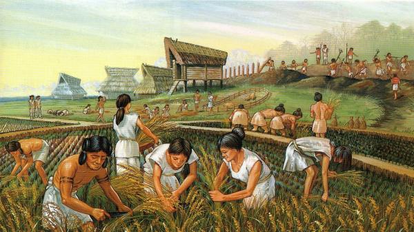 O que foi a Revolução Agrícola?
