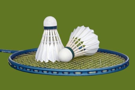 Tudo Sobre Badminton - Origem, História, Quadra, Regras E Fundamentos