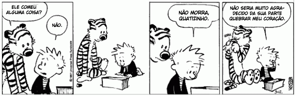 Calvin e Haroldo: Sentimentos confusos pelo Quati
