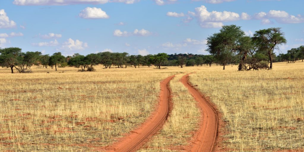 Deserto de Kalahari