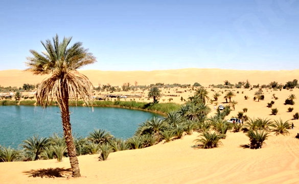 Nascente de água doce no deserto, também conhecido como "Oasis"
