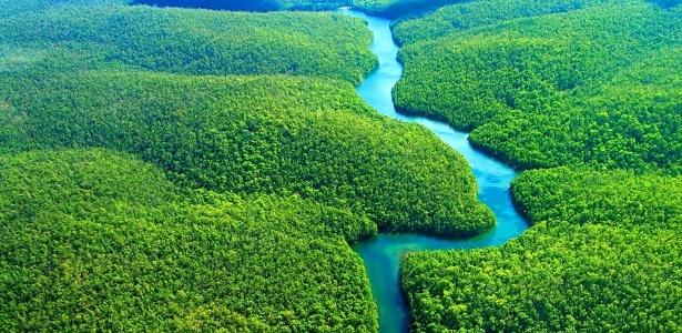 Tudo sobre Amazônia Legal