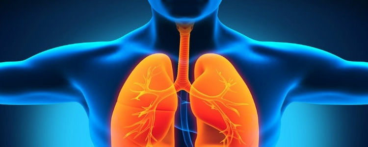 Doenças Respiratórias Doenças Respiratórias mais comuns Biologia