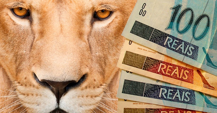 Site oferece curso gratuito de Declaração de Imposto de Renda