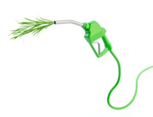 Potencial do Biodiesel