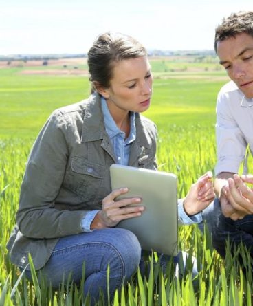 salario de um agronomo recem formado - Tudo sobre salario de um ...