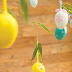 images (1)