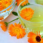 calendula