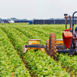 Agricultura na Região Centro-Oeste