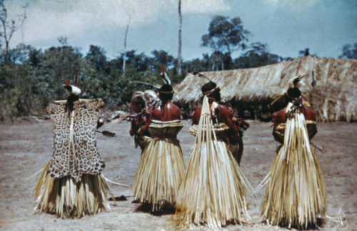 Dança da onça