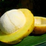 Fruta com B – Bacuri