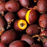 Fruta com B – Buriti